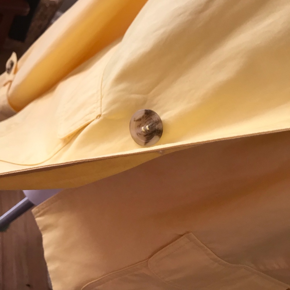 Yellow jacket - Picture 5 of 8